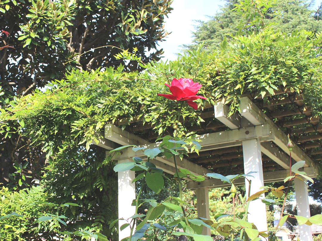 A-san no Niwa-杉并区必去景点