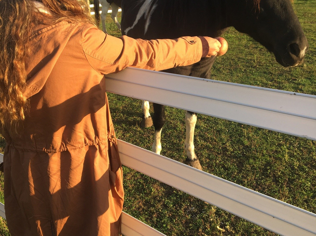 Johnston Fruit Farms-Swanton必去景点