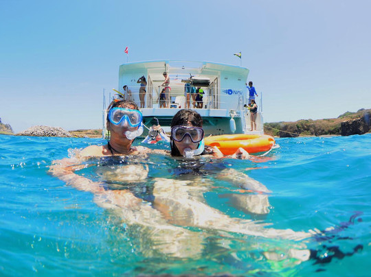 Projeto Navi - Natureza Viva