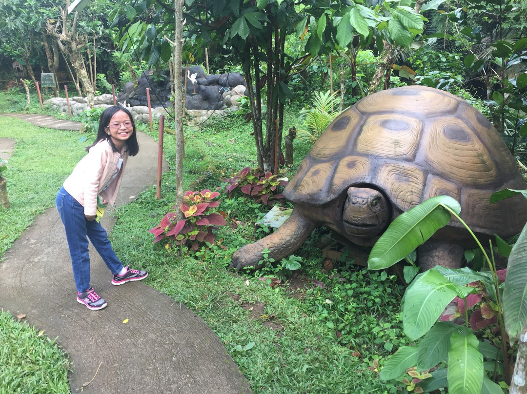 Reptiland Adventure-大雅台必去景点