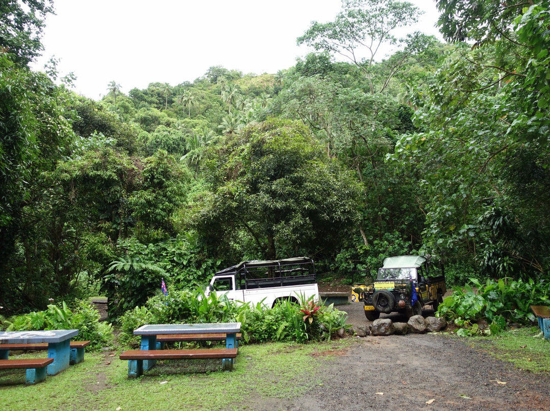 Raro Mountain Safari Tour-拉罗汤加必去景点