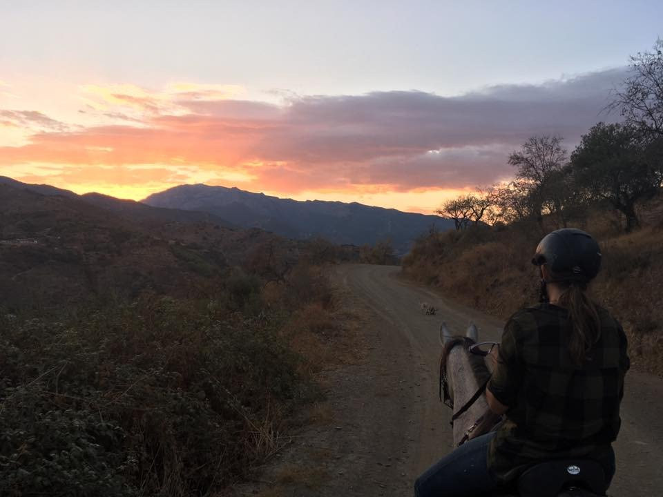 Malaga Horse Trails景点图片