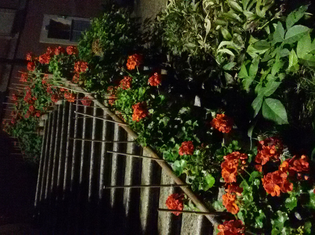 Castelnuovo Fogliani景点图片