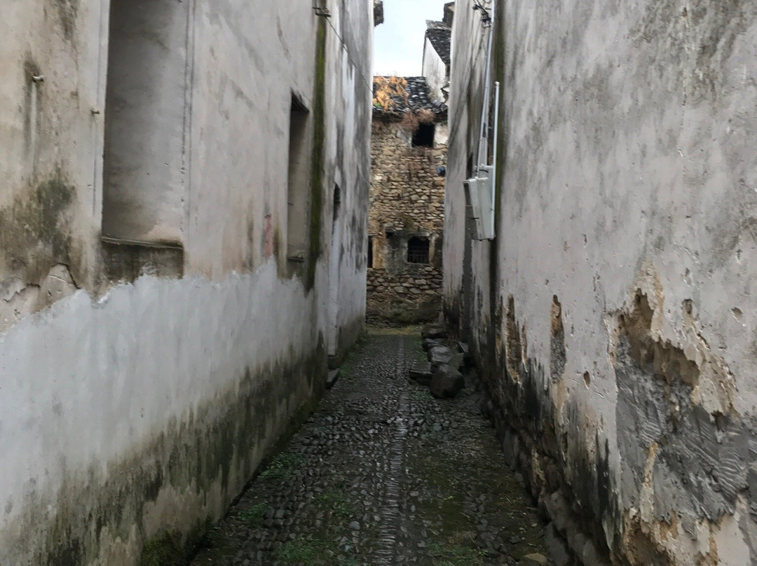 杭州桐庐阆苑石林景点图片
