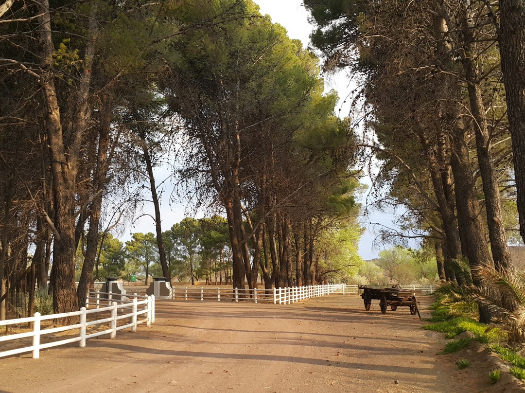 Jakhalsdans Game Farm & Guest House