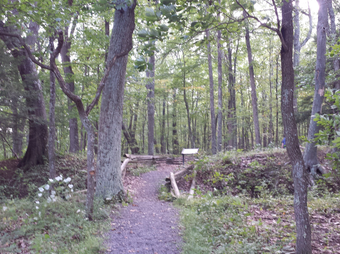 Fort Mill Ridge Civil War Trenches-Romney必去景点