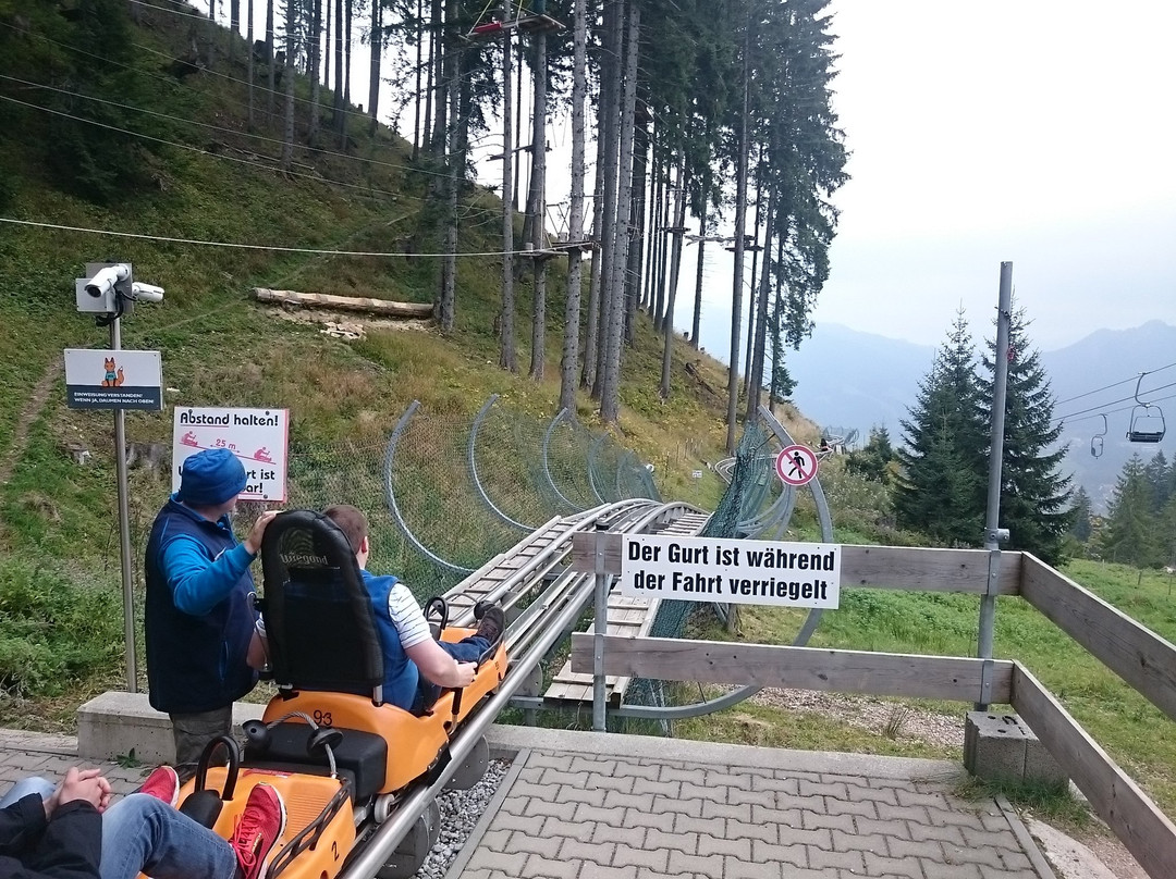 Saulgrub旅游景点-Alpine Coaster Oberammergau