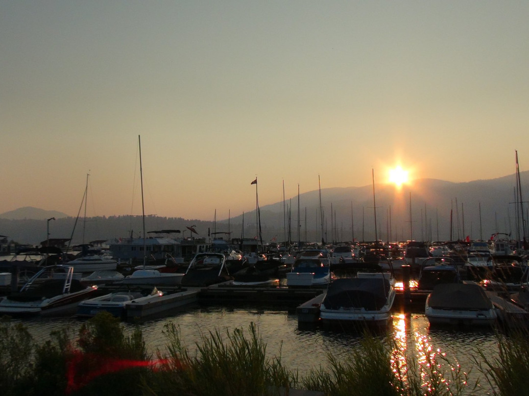 Gellatly Bay Aquatic Park景点图片