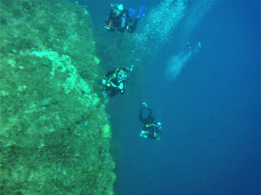 Elba Divers Naregno景点图片