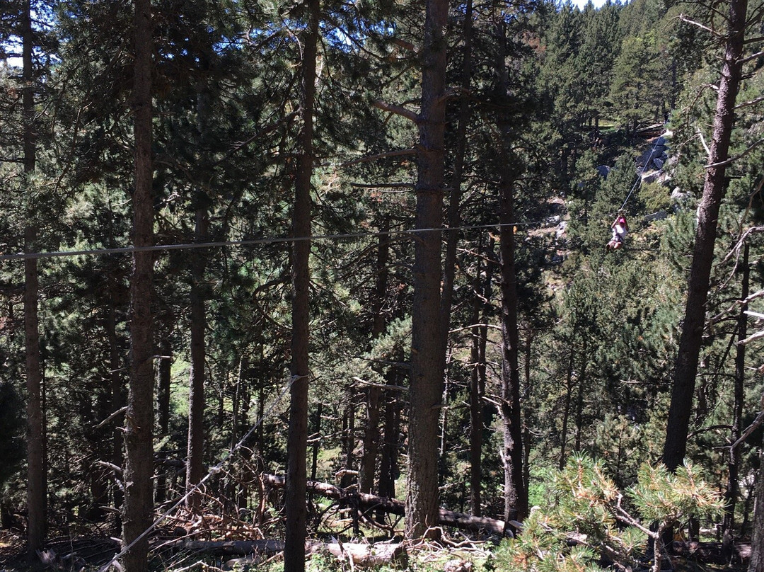 Parc Aventure Font Romeu景点图片