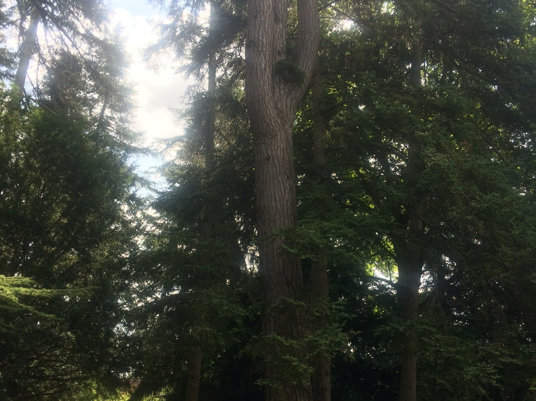 Thesee旅游景点-Parc Le Vaux Saint-Georges