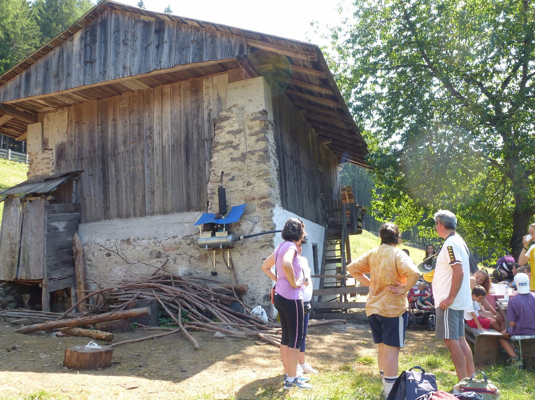 Azienda Agricola La Capra Felice景点图片