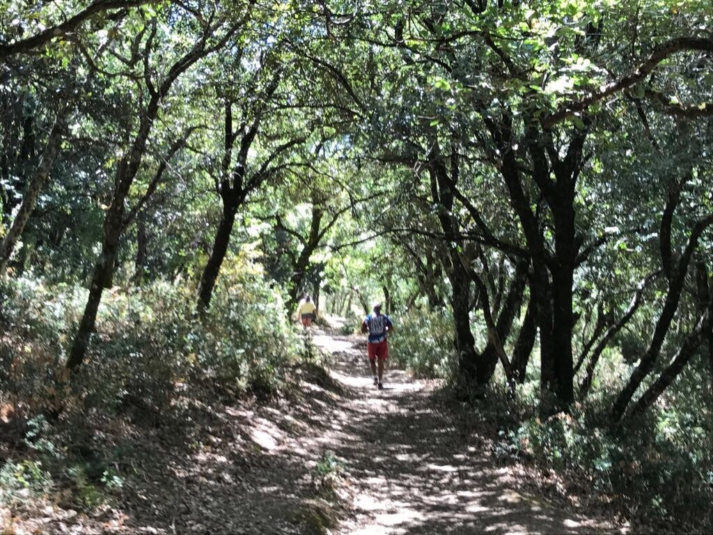 Riserva Naturale Orientata Bosco della Ficuzza景点图片