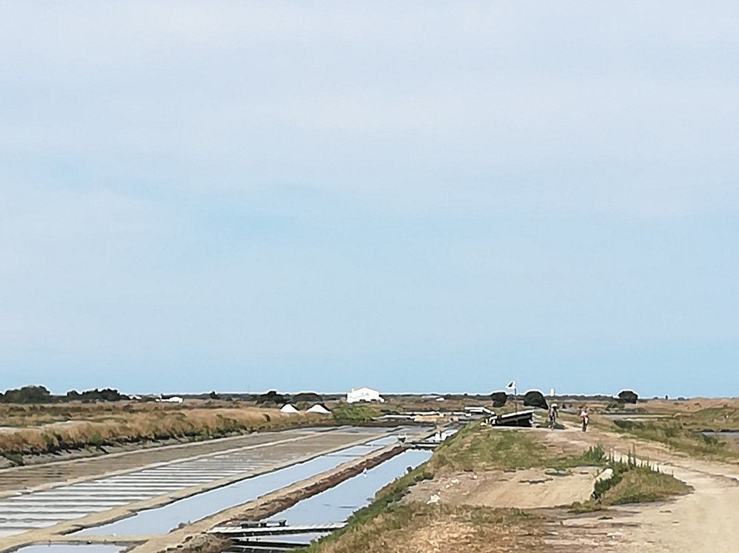 Moulin à Marée景点图片