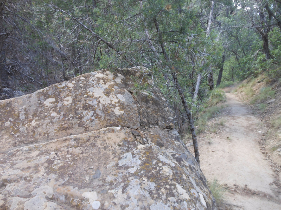 Spruce Canyon Trail-梅萨维德国家公园必去景点