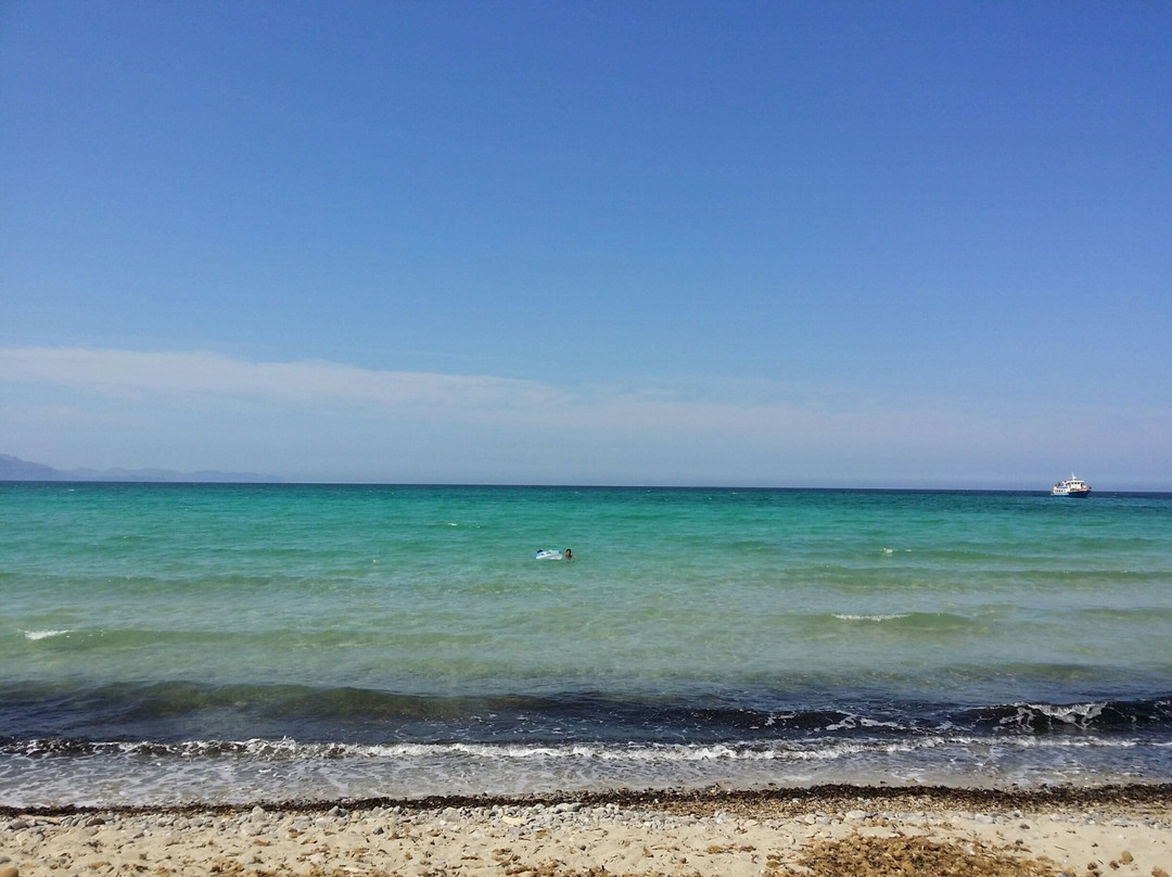 Sa Canova Beach-Campos必去景点