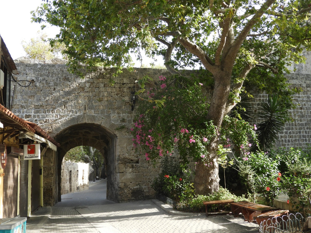 Rhodes Shore Excursions-罗德斯必去景点