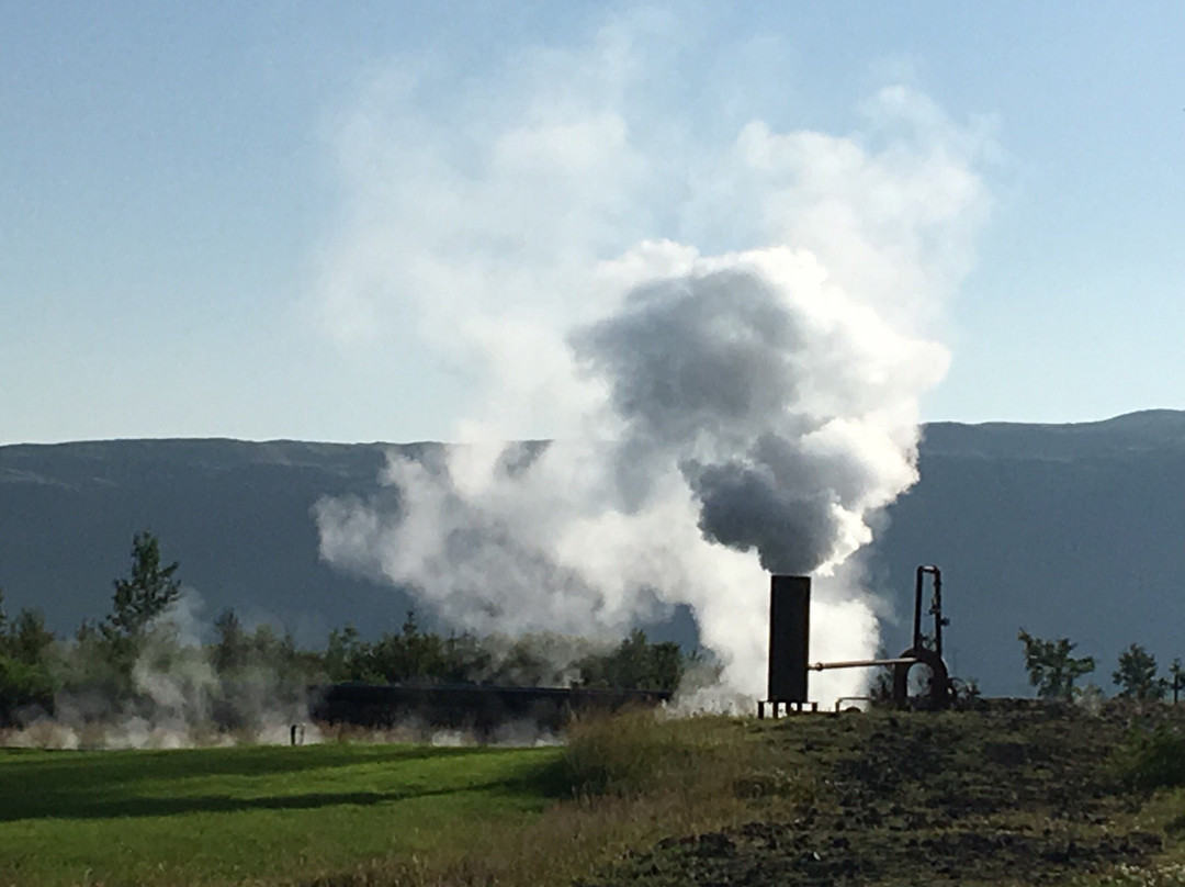 Hveragerdi酒店住宿-Icelands Guesthouse