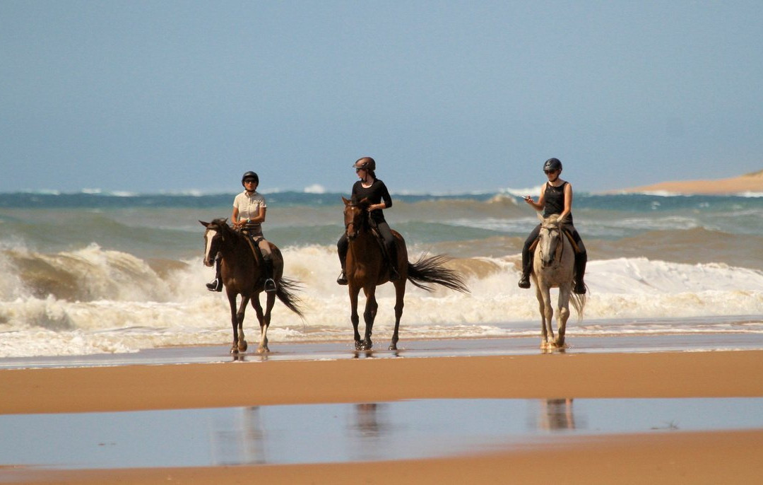 Bhangazi Horse Safaris-圣露西亚必去景点