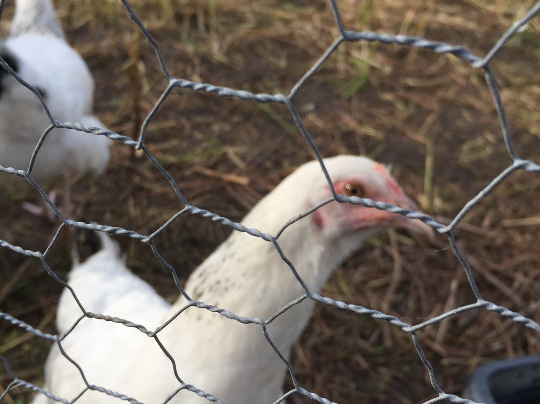 Ø-Haven-欧胡斯必去景点