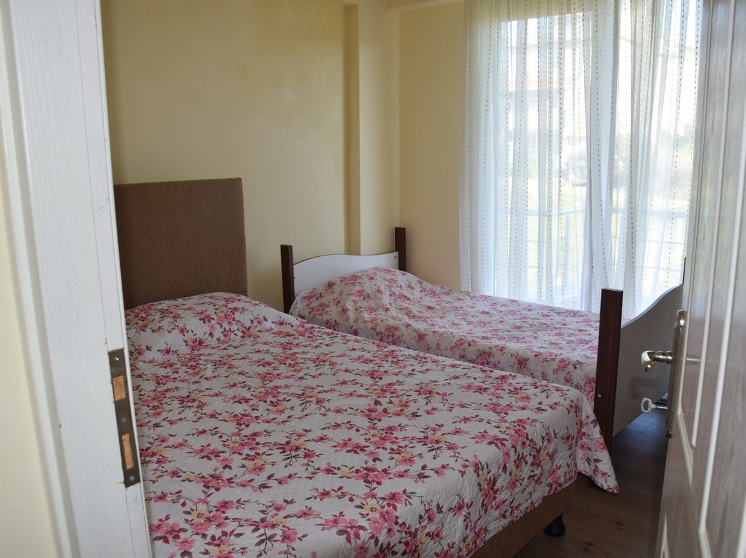 Aydin Apart Pansiyon主图