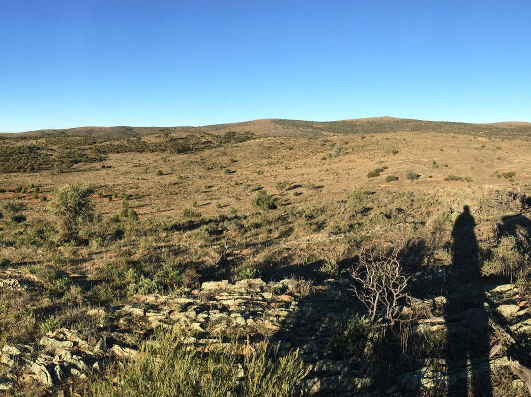 Peterborough旅游攻略图片