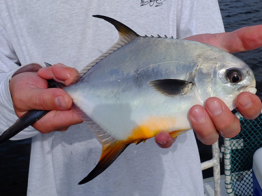 Captain Mike's Fishing Fort Myers Beach-迈尔斯堡海滩必去景点