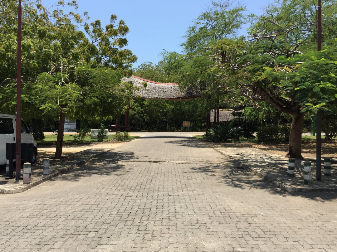 The Diani Beach Shopping Centre-迪亚尼必去景点