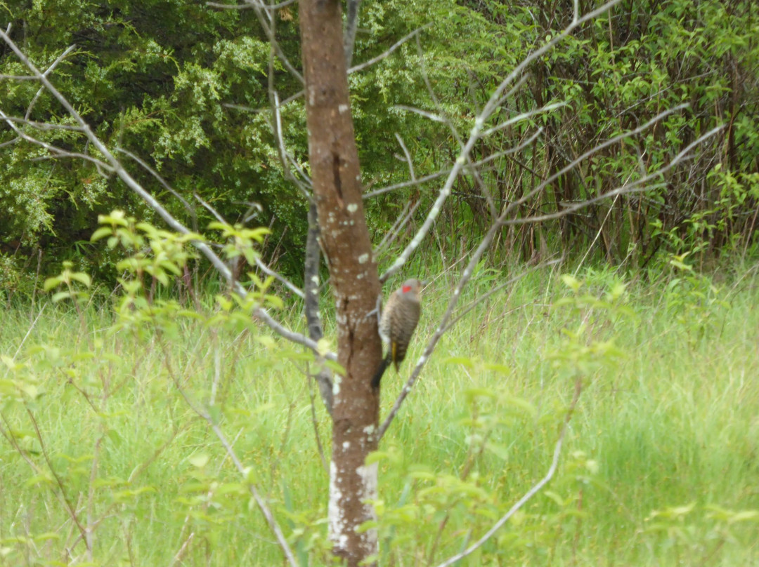Abrams Creek Wetlands Preserve景点图片