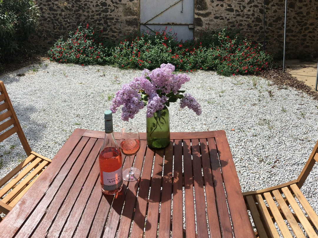Domaine de Nizas景点图片