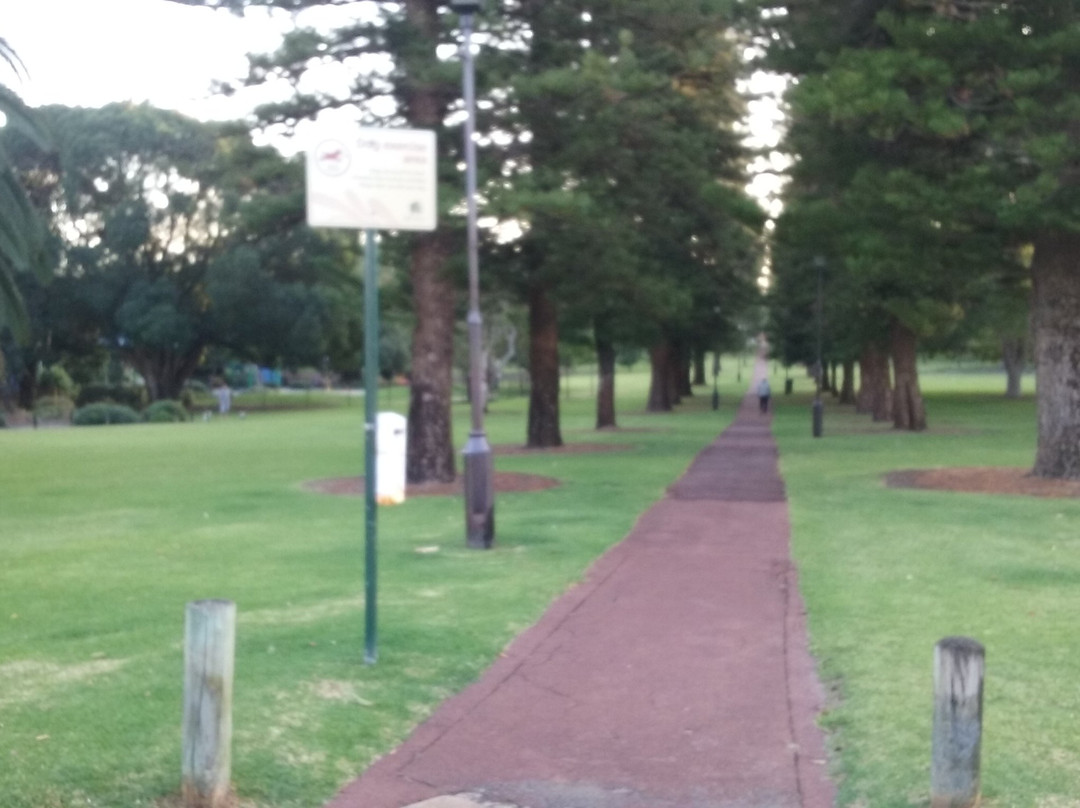Mueller Park景点图片