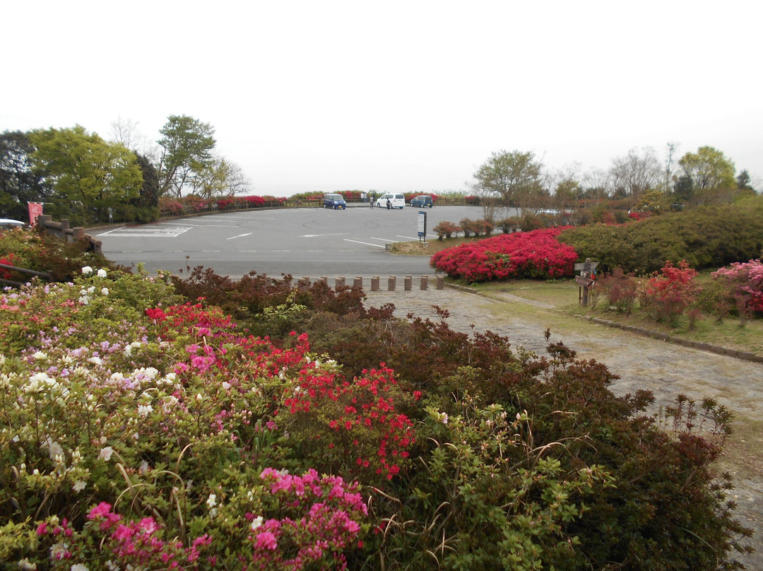 Kurume Forest Tsutsuji Park景点图片