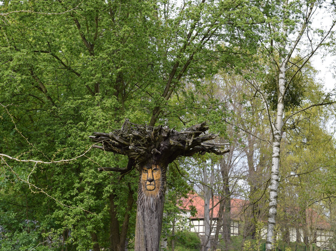 Tierpark Senftenberg-Senftenberg必去景点
