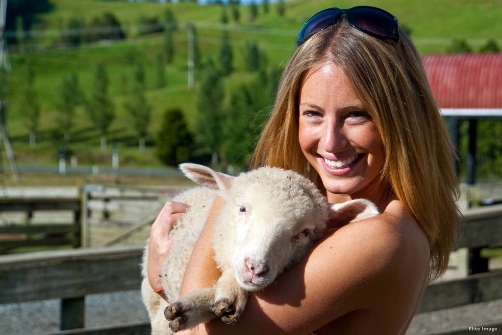 Carrington Tours & Transfers-汉密尔顿必去景点