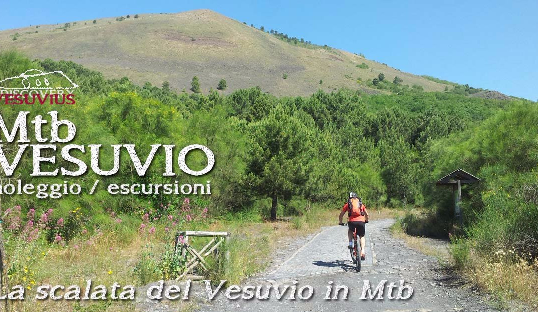 Associazione Discovery Vesuvius景点图片