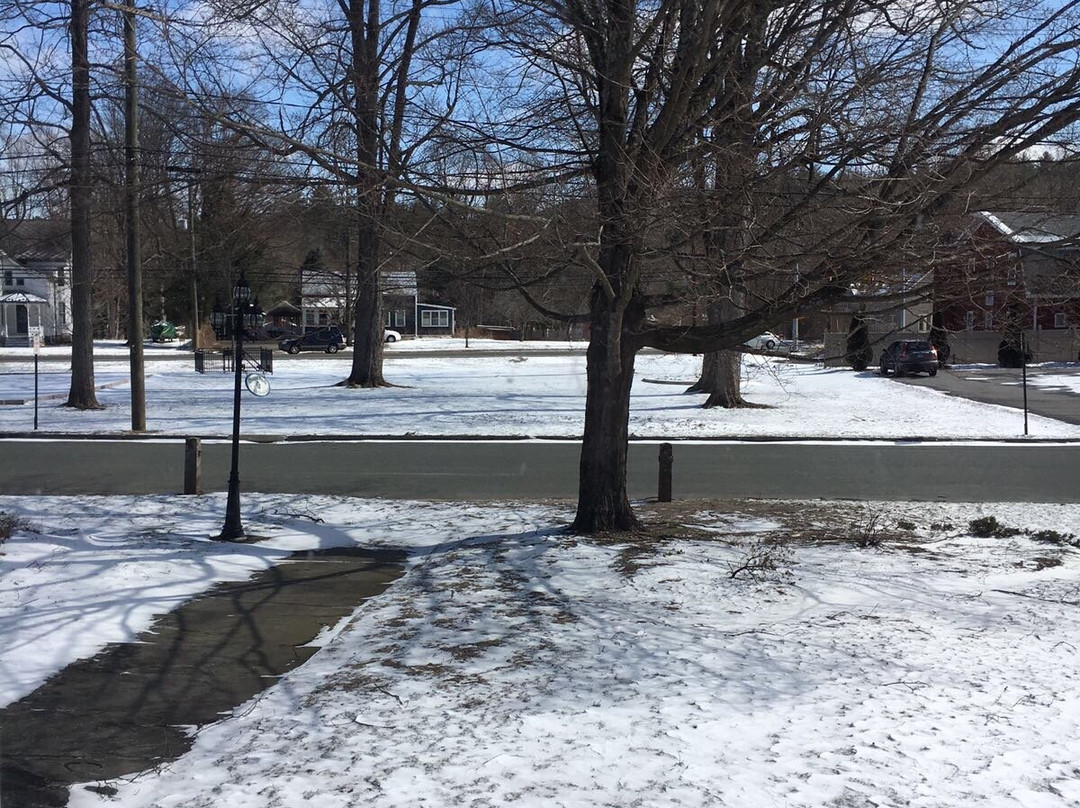 Chapin Park Bed and Breakfast主图