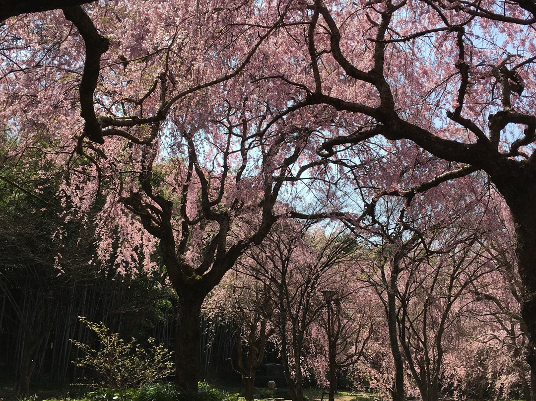 Araijoshi Park-真鹤町必去景点