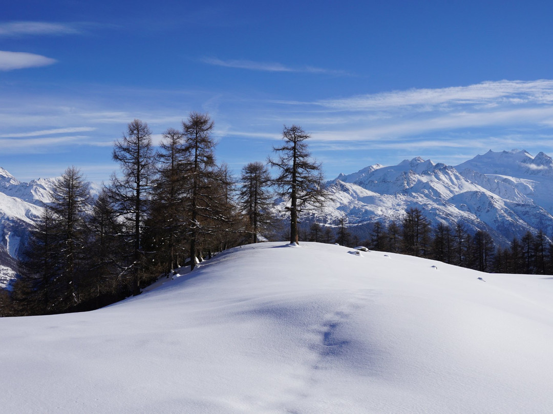 Toerbel旅游攻略图片