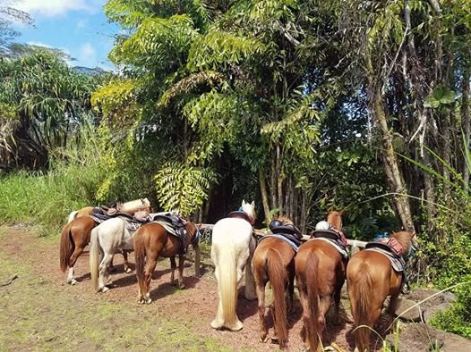 Silver Crest Farms-Kapoho必去景点