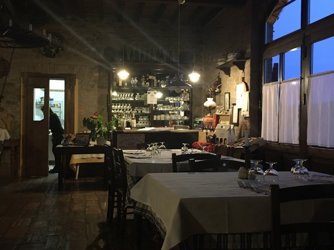 Agriturismo La Tintoria主图