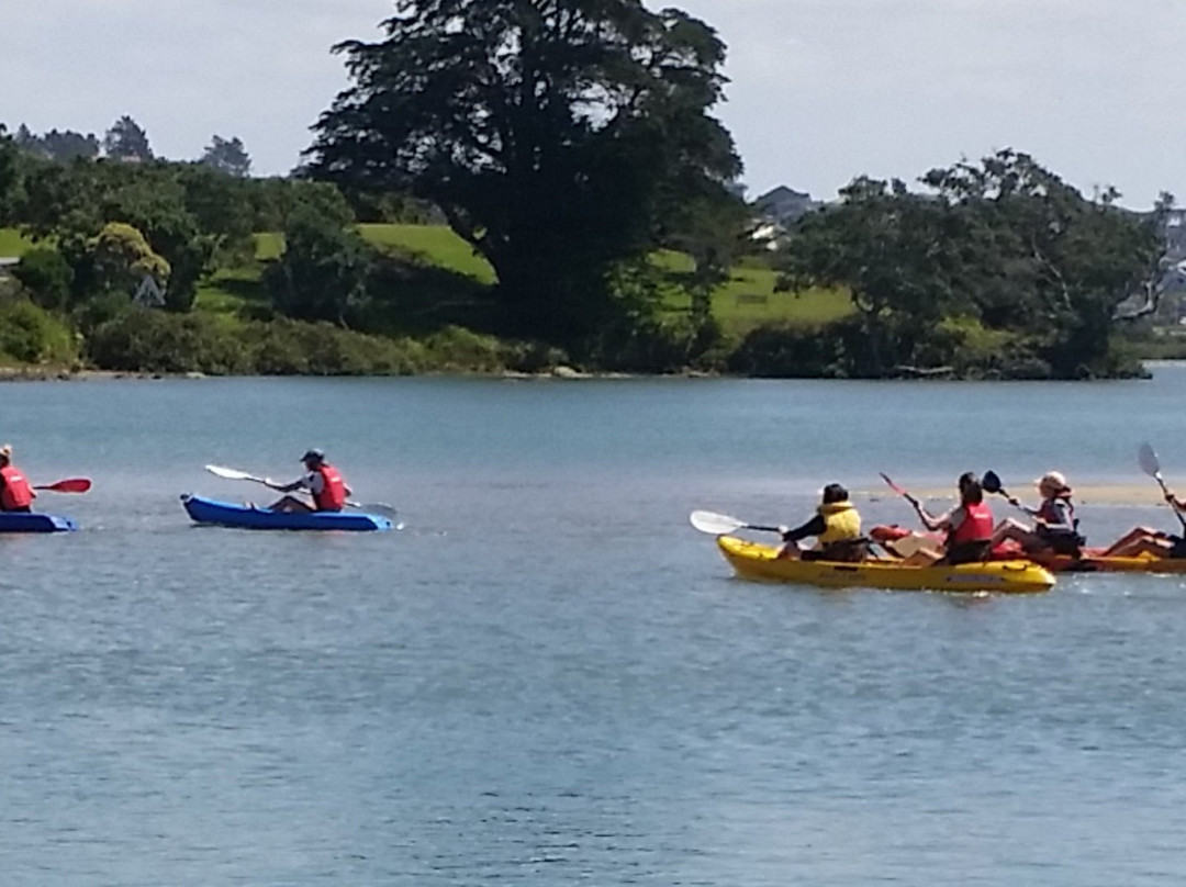 Hibiscus Kayak Hire-奥克兰中心地区必去景点
