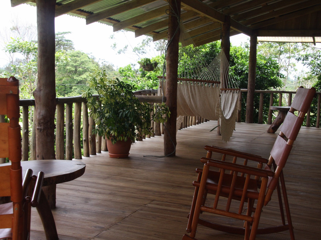 Bijagua de Upala酒店住宿-Finca Amistad Cacao Lodge