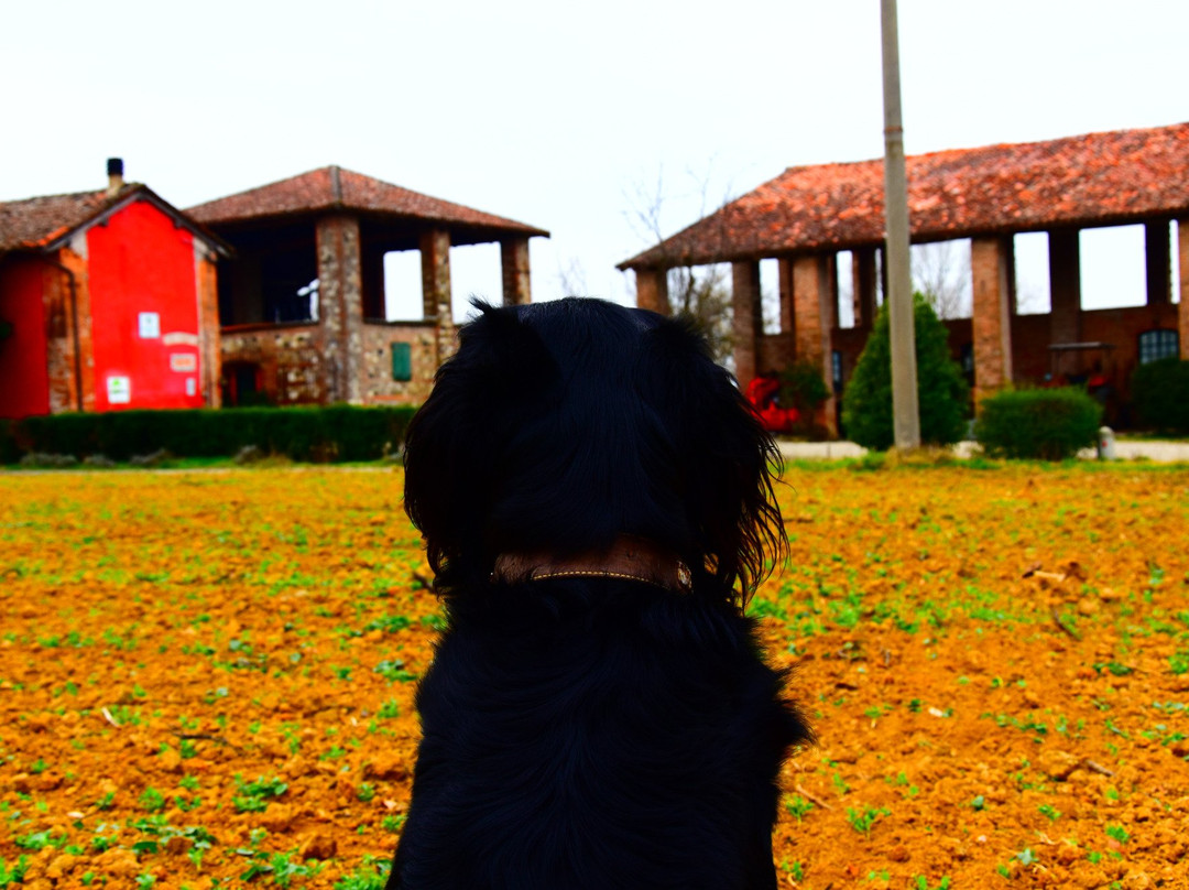 Agriturismo La Casarossa