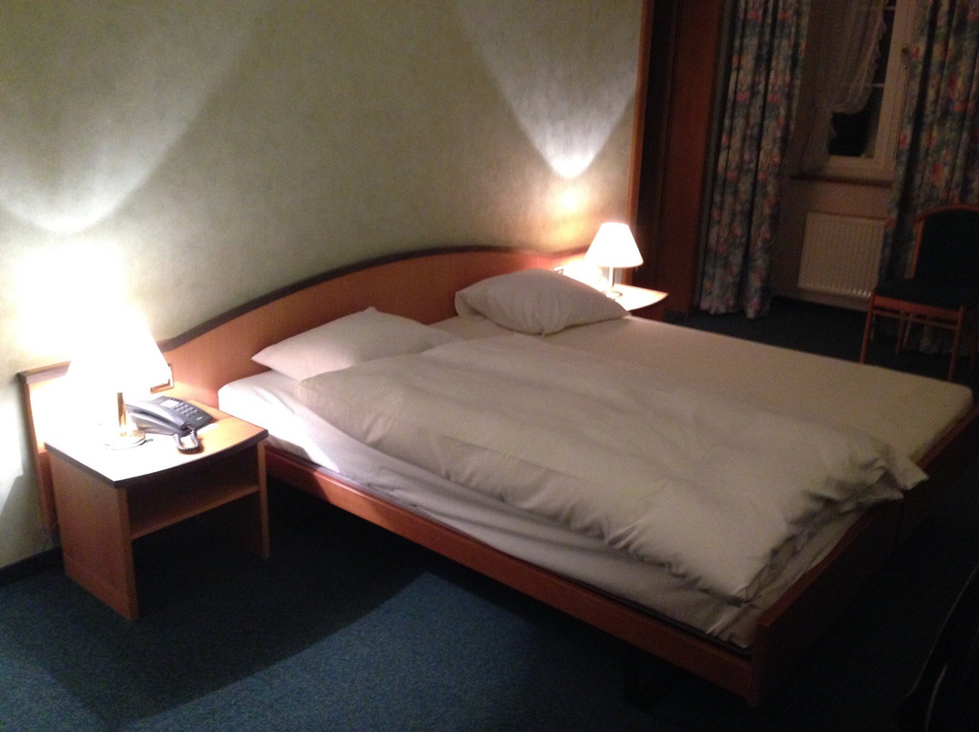Hotel des Alpes主图