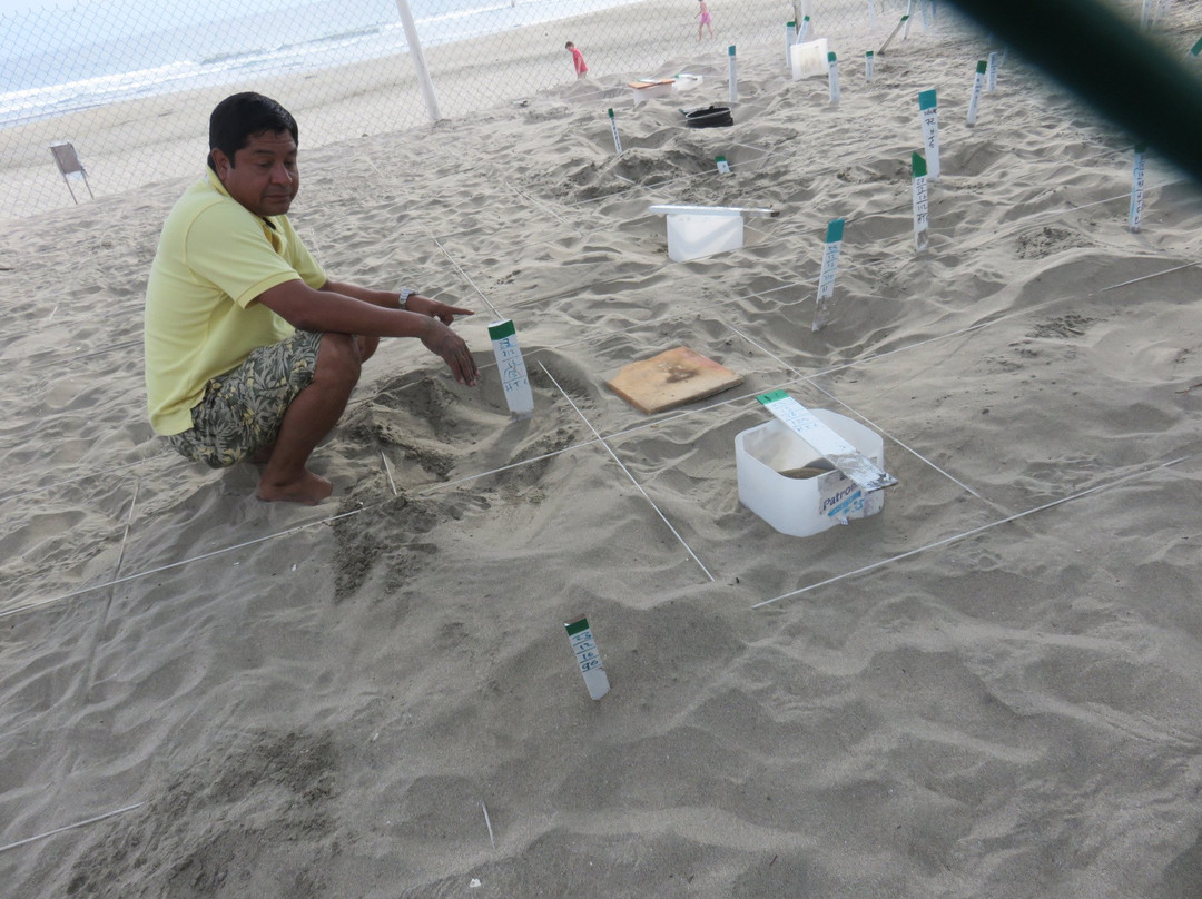 Playa Buenavista-Troncones必去景点