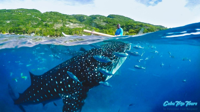 Cebu Trip Tours-宿雾市必去景点