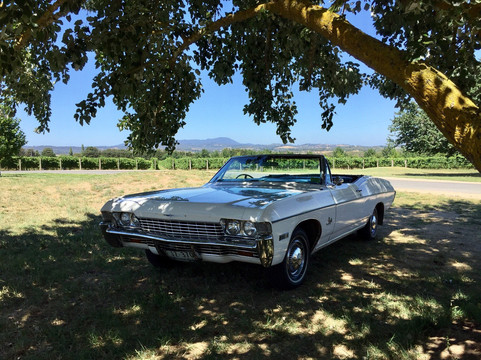 Top Down Tours-墨尔本必去景点