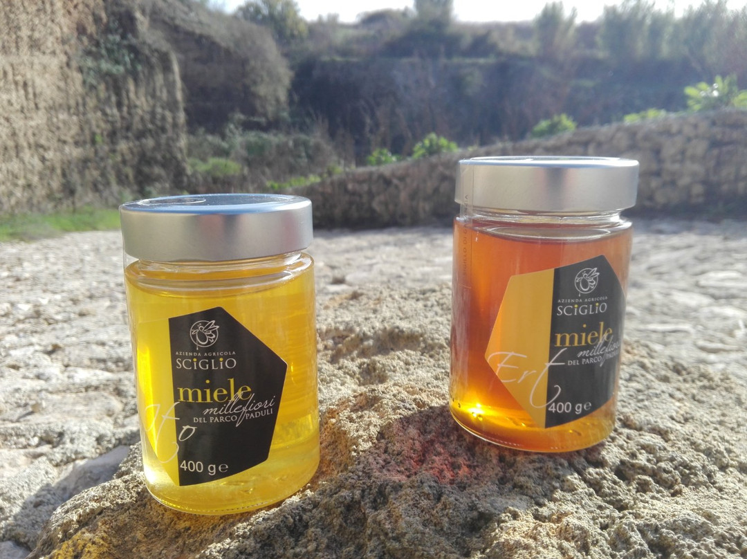 Azienda Agricola Sciglio - Le Api del Parco Paduli-Botrugno必去景点