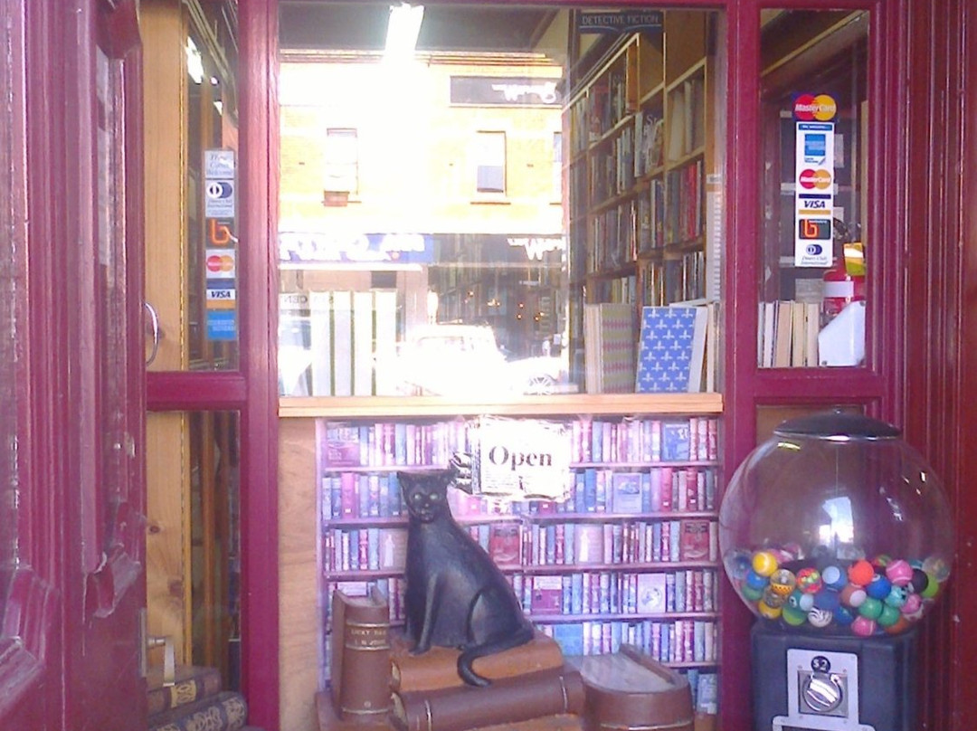 Paradise Bookshop-戴尔斯福特必去景点