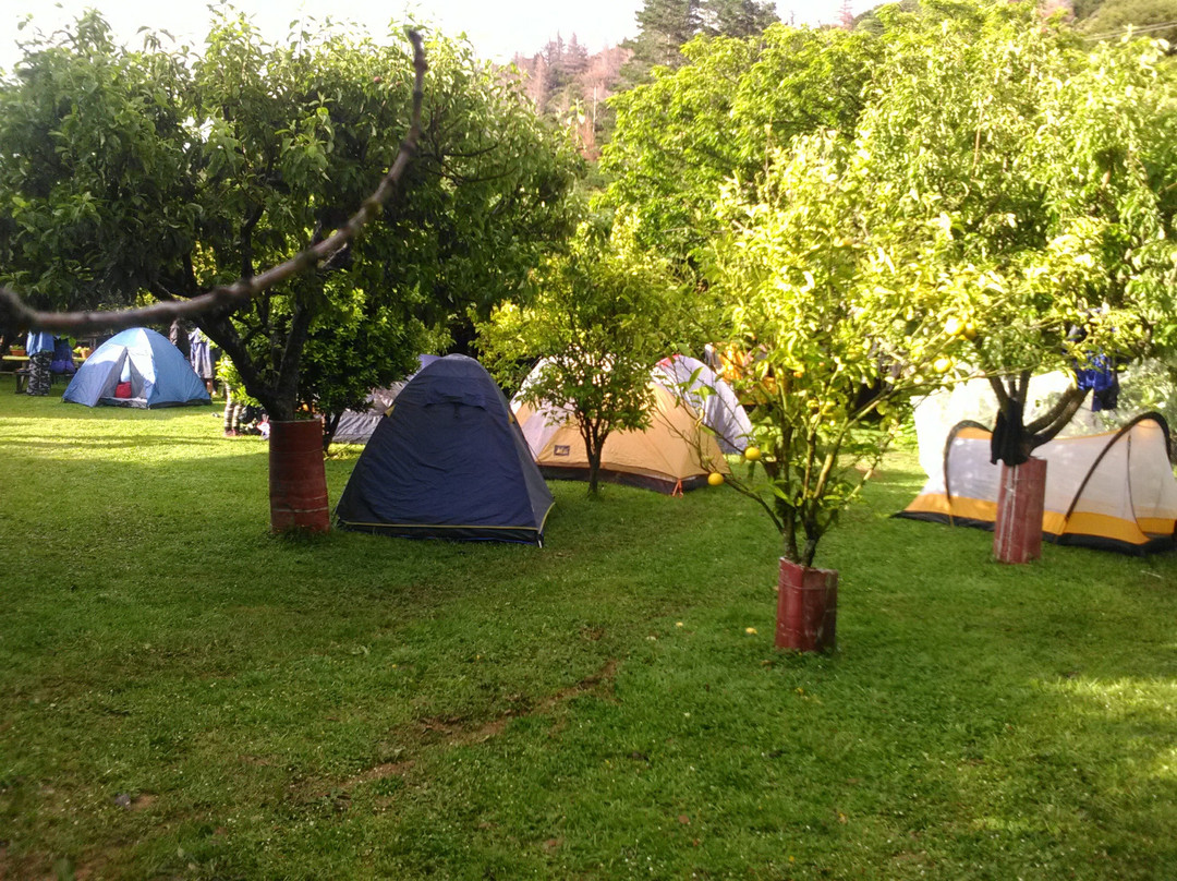 Miners Camp